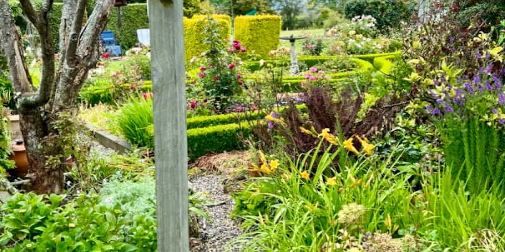 Barbara Hollows garden in Balclutha.