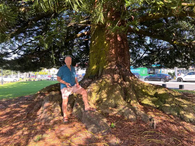 At the beach in Auckland