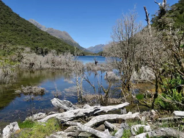 Routeburn Track memories