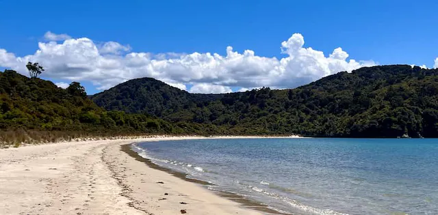 Maori Beach in Rakiura National Park.